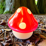 Beautiful resin mushroom jar