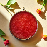 Bubble collection pendants