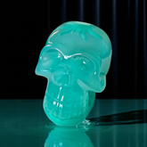 Resin large skull